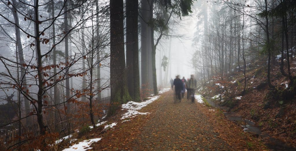 Group of muggles in the forest