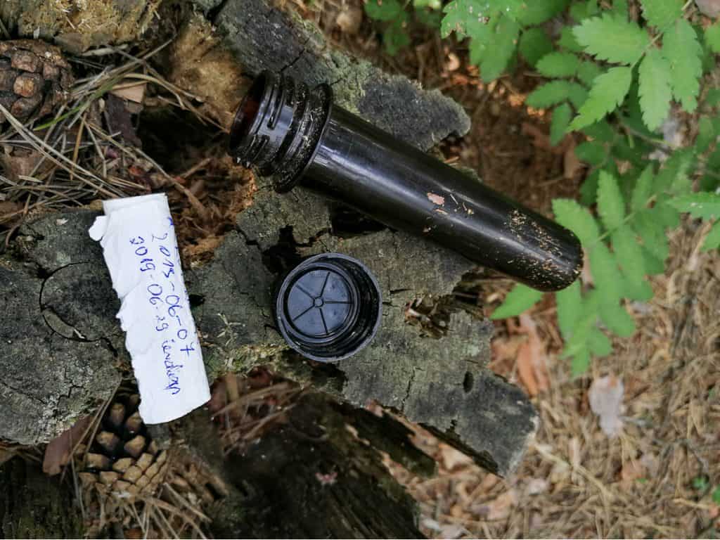 Geocache found in forest